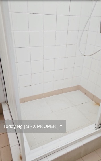 Blk 541 Pasir Ris Street 51 (Pasir Ris), HDB Executive #449726141